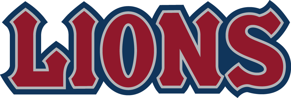 Loyola Marymount Lions 2008-2018 Wordmark Logo v2 t shirts iron on transfers